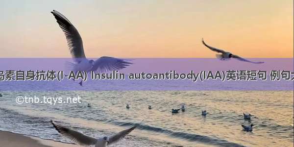 胰岛素自身抗体(I-AA) Insulin autoantibody(IAA)英语短句 例句大全