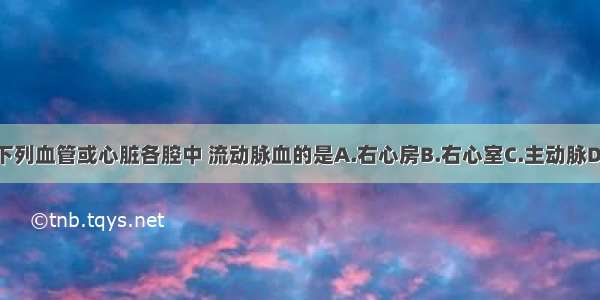 单选题下列血管或心脏各腔中 流动脉血的是A.右心房B.右心室C.主动脉D.肺动脉