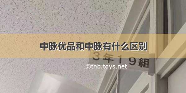 中脉优品和中脉有什么区别