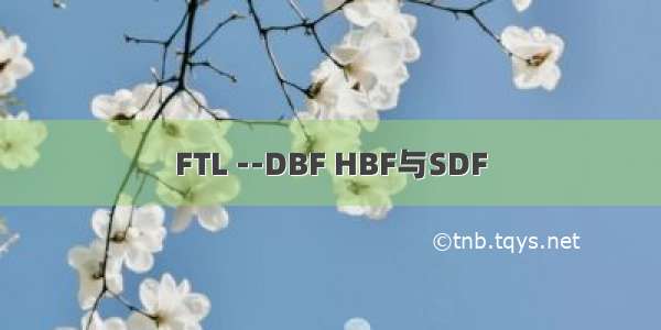 FTL --DBF HBF与SDF