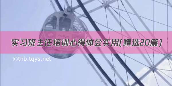 实习班主任培训心得体会实用(精选20篇)