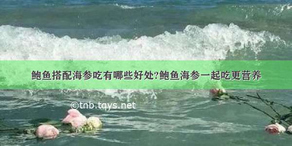 鲍鱼搭配海参吃有哪些好处?鲍鱼海参一起吃更营养