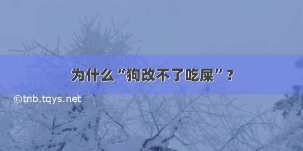 为什么“狗改不了吃屎”？