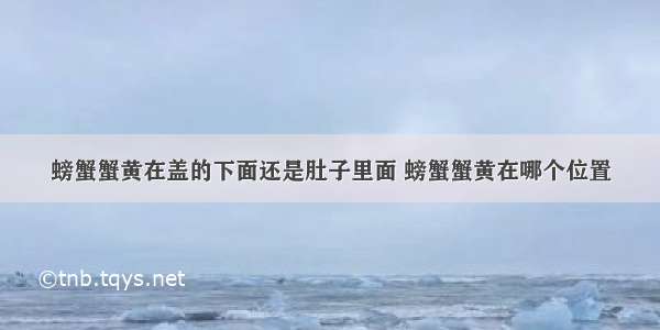 螃蟹蟹黄在盖的下面还是肚子里面 螃蟹蟹黄在哪个位置