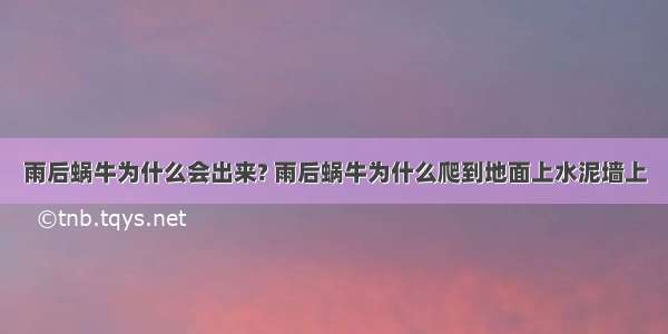 雨后蜗牛为什么会出来? 雨后蜗牛为什么爬到地面上水泥墙上