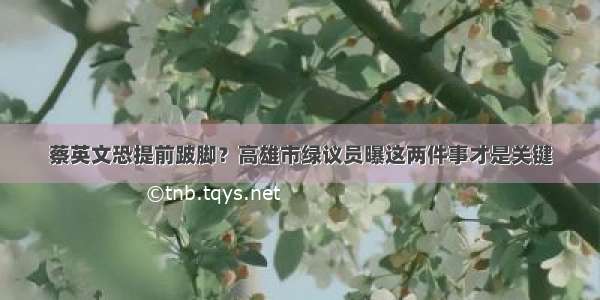 蔡英文恐提前跛脚？高雄市绿议员曝这两件事才是关键