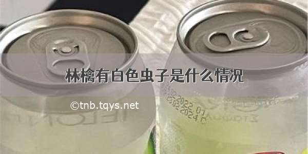 林檎有白色虫子是什么情况