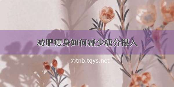 减肥瘦身如何减少糖分摄入