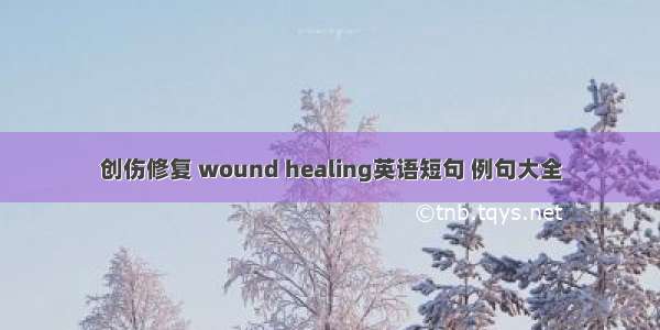 创伤修复 wound healing英语短句 例句大全