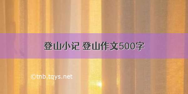 登山小记 登山作文500字