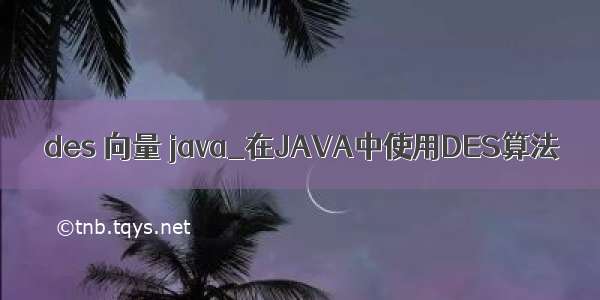 des 向量 java_在JAVA中使用DES算法