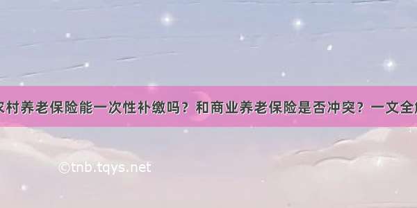 农村养老保险能一次性补缴吗？和商业养老保险是否冲突？一文全解