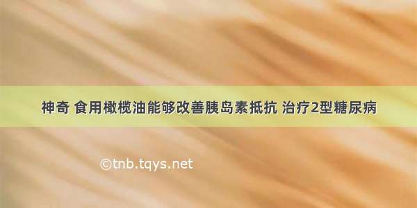 神奇 食用橄榄油能够改善胰岛素抵抗 治疗2型糖尿病