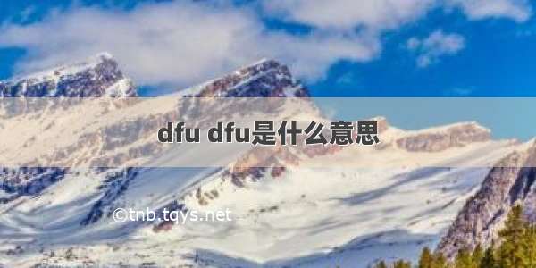 dfu dfu是什么意思