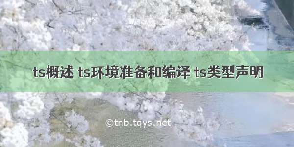 ts概述 ts环境准备和编译 ts类型声明