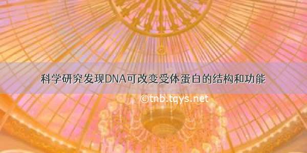 科学研究发现DNA可改变受体蛋白的结构和功能