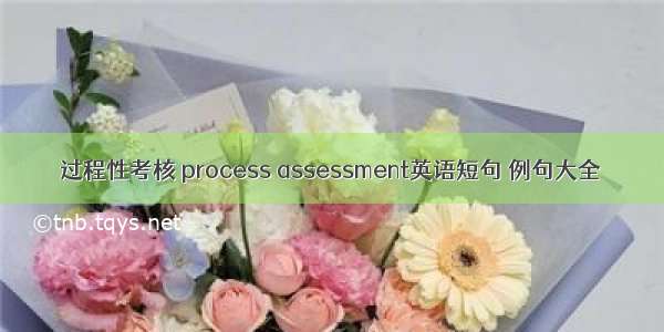 过程性考核 process assessment英语短句 例句大全