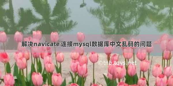 解决navicate 连接mysql数据库中文乱码的问题