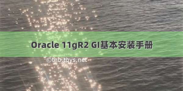 Oracle 11gR2 GI基本安装手册