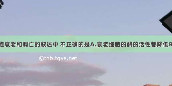 下列有关细胞衰老和凋亡的叙述中 不正确的是A.衰老细胞的酶的活性都降低B.个体的衰老