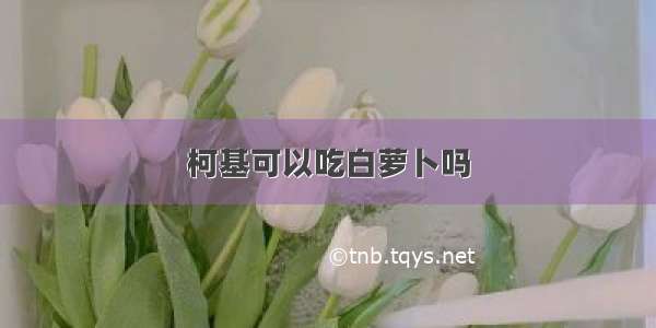 柯基可以吃白萝卜吗