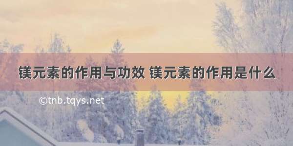 镁元素的作用与功效 镁元素的作用是什么