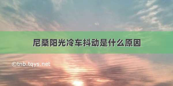 尼桑阳光冷车抖动是什么原因