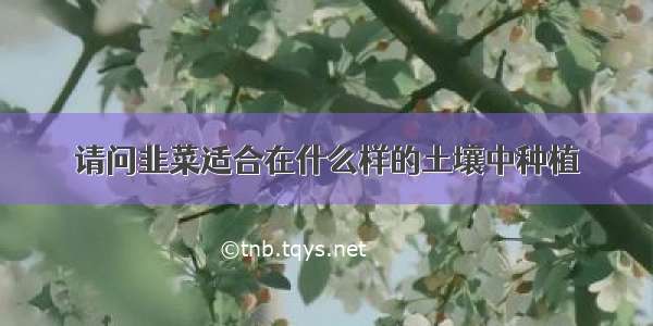 请问韭菜适合在什么样的土壤中种植