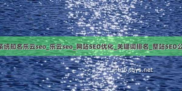 搜索引擎优化系统知名乐云seo_乐云seo_网站SEO优化_关键词排名_整站SEO公司-蜂群SEO...