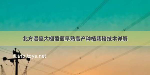 北方温室大棚葡萄早熟高产种植栽培技术详解