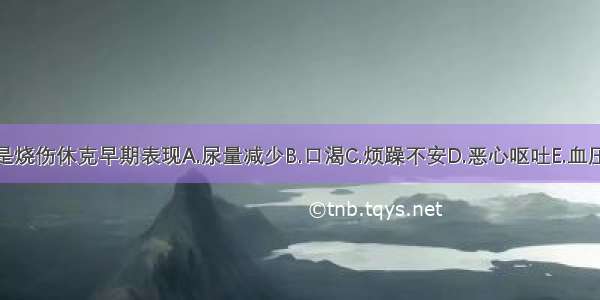 下述哪项不是烧伤休克早期表现A.尿量减少B.口渴C.烦躁不安D.恶心呕吐E.血压下降ABCDE