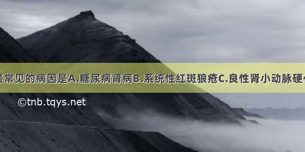 慢性肾衰竭最常见的病因是A.糖尿病肾病B.系统性红斑狼疮C.良性肾小动脉硬化症D.慢性肾