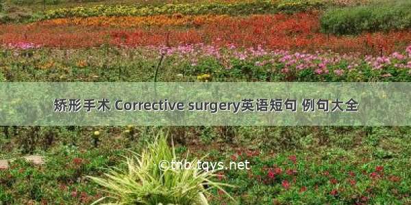 矫形手术 Corrective surgery英语短句 例句大全