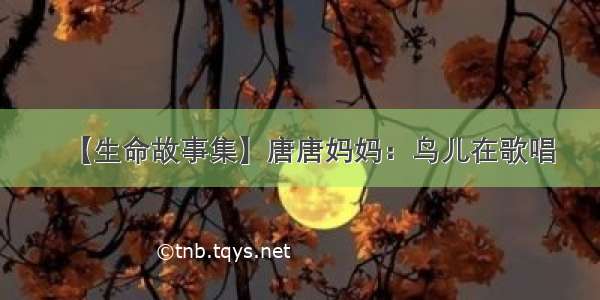 【生命故事集】唐唐妈妈：鸟儿在歌唱