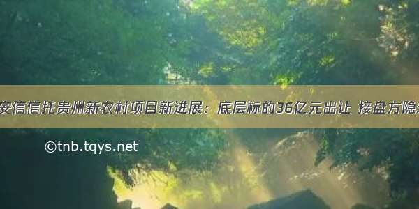 「独家」安信信托贵州新农村项目新进展：底层标的36亿元出让 接盘方隐现贵州首富