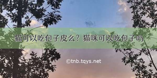 猫可以吃包子皮么？猫咪可以吃包子吗