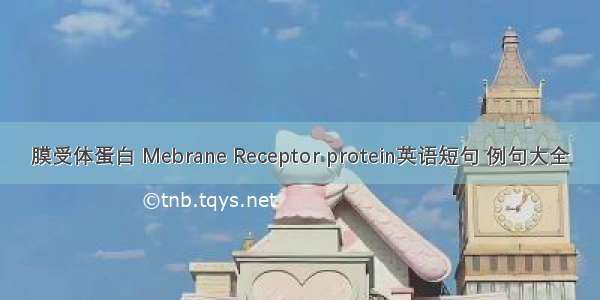 膜受体蛋白 Mebrane Receptor protein英语短句 例句大全