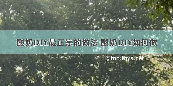 酸奶DIY最正宗的做法 酸奶DIY如何做