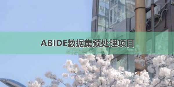 ABIDE数据集预处理项目