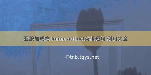 亚胺加成物 Imine adduct英语短句 例句大全