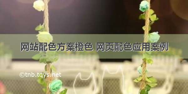 网站配色方案橙色 网页配色应用案例