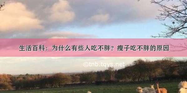 生活百科：为什么有些人吃不胖？瘦子吃不胖的原因