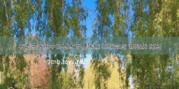 名老中医用中药苍术于糖尿病 高脂血症 肾脏病 痤疮