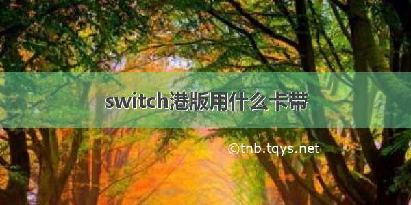 switch港版用什么卡带