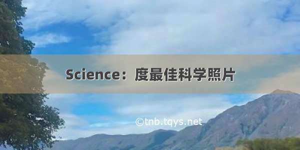 Science：度最佳科学照片