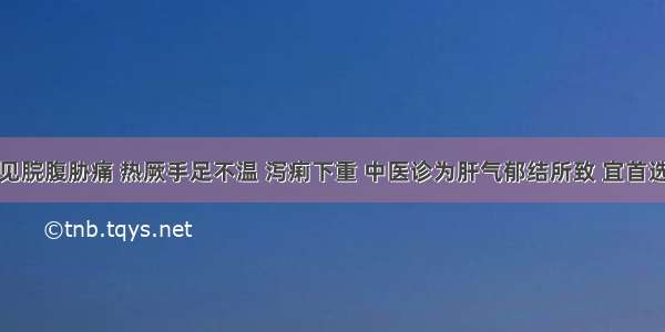 某患者症见脘腹胁痛 热厥手足不温 泻痢下重 中医诊为肝气郁结所致 宜首选的中成药