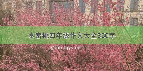 水密桃四年级作文大全350字