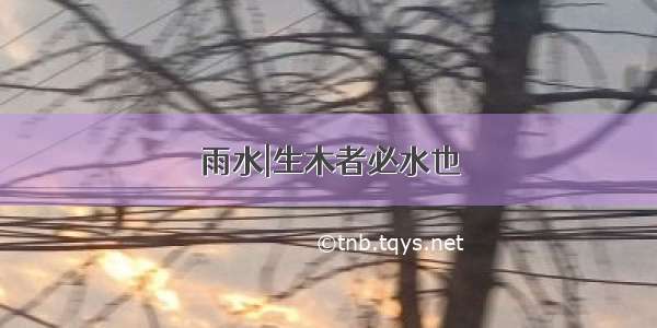 雨水|生木者必水也