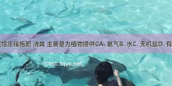 农民给庄稼施肥 浇粪 主要是为植物提供CA. 氧气B. 水C. 无机盐D. 有机物