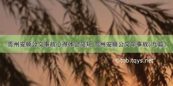 贵州安顺公交事故心得体会简短 贵州安顺公交车事故(九篇)